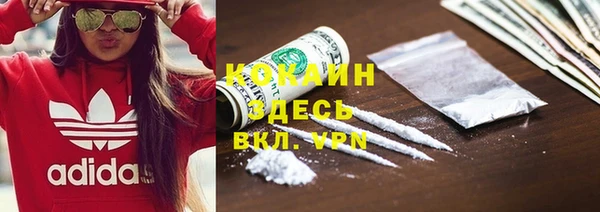 стаф Абаза
