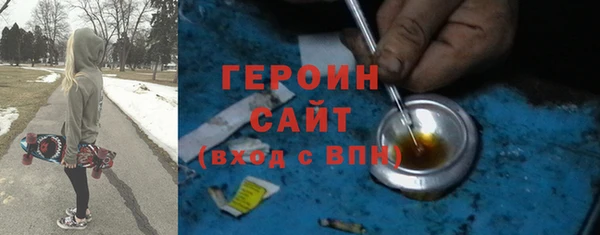 гашик Няндома