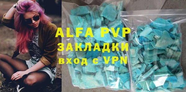 гашик Няндома