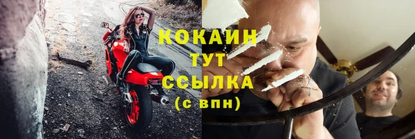 гашик Няндома