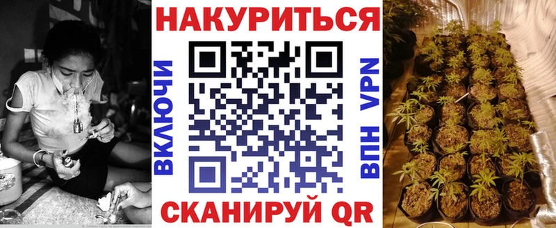 blacksprut ссылки  Подпорожье  Бошки Шишки планчик 